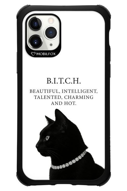B. i. t. c. h. - Apple iPhone 11 Pro