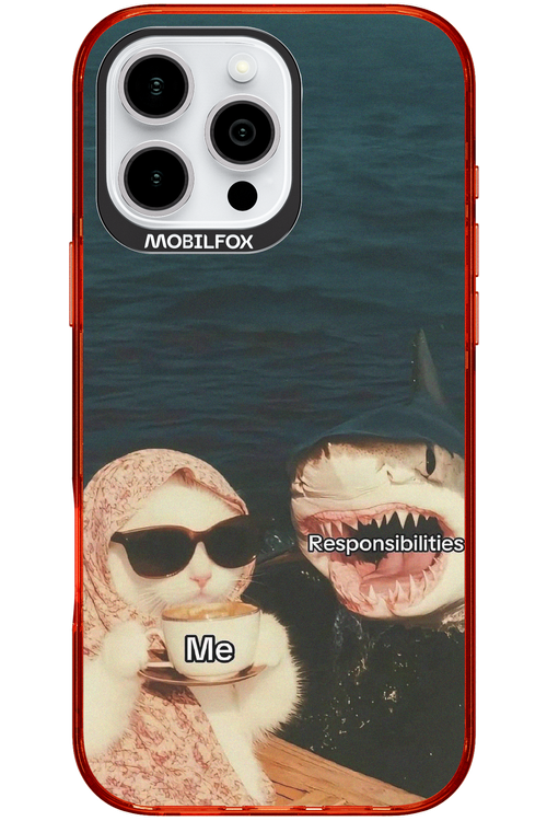 Responsibilities - Apple iPhone 16 Pro Max