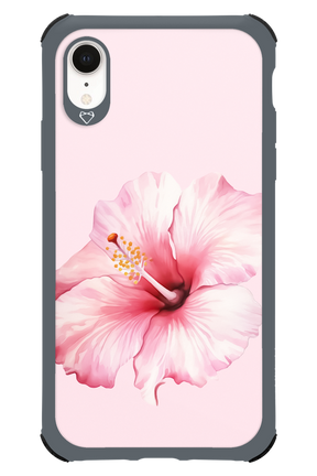 HibiPinky - Apple iPhone XR