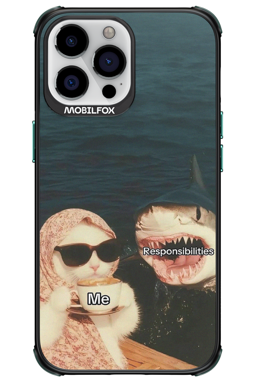 Responsibilities - Apple iPhone 13 Pro Max