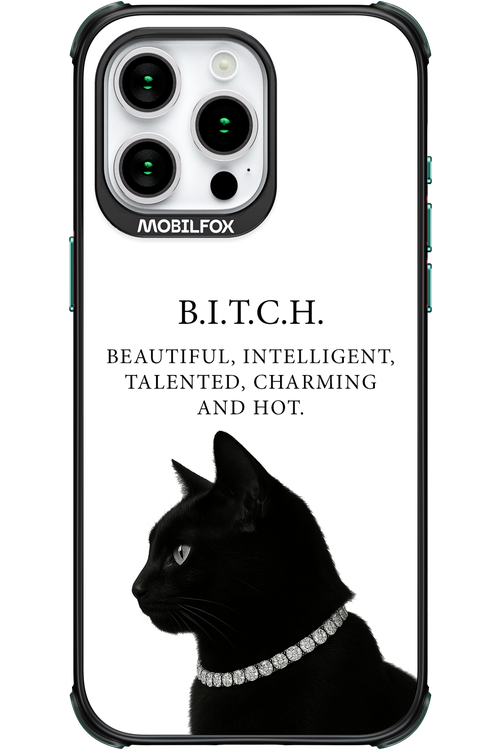 B. i. t. c. h. - Apple iPhone 15 Pro Max