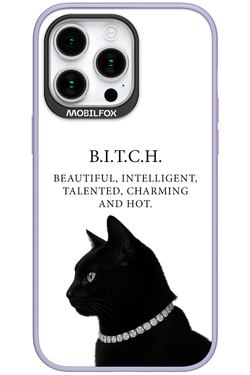 B. i. t. c. h. - Apple iPhone 15 Pro Max