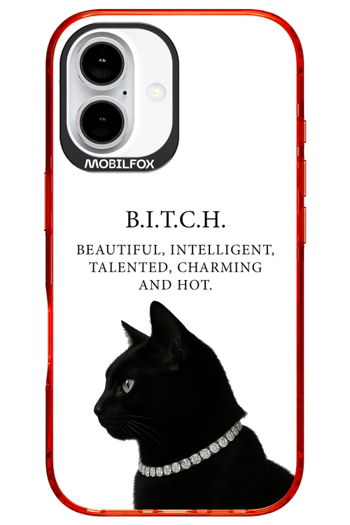 B. i. t. c. h. 2.0 - Apple iPhone 16