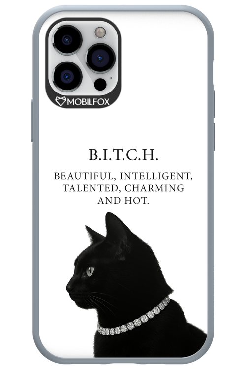 B. i. t. c. h. - Apple iPhone 12 Pro