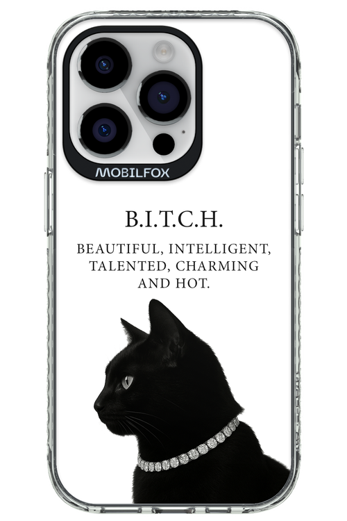 B. i. t. c. h. - Apple iPhone 14 Pro