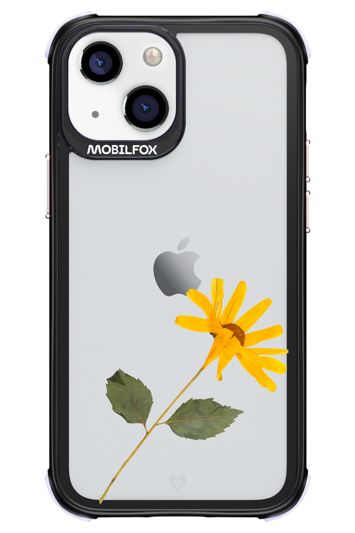 Pressed Flower - Apple iPhone 13 Mini