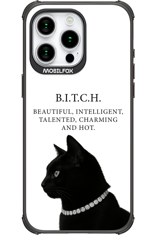 B. i. t. c. h. - Apple iPhone 15 Pro Max