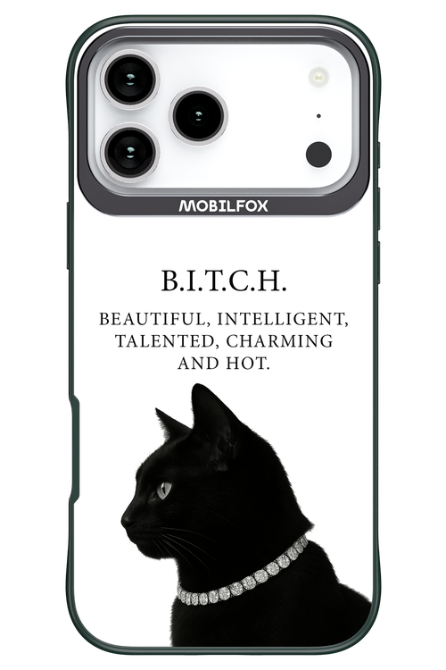 B. i. t. c. h. 2.0 - Apple iPhone 17 Pro Max