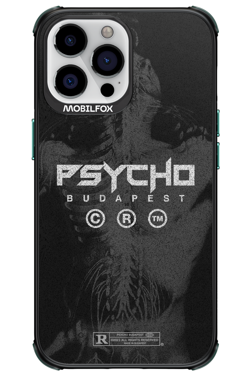 X-Ray - Apple iPhone 13 Pro Max