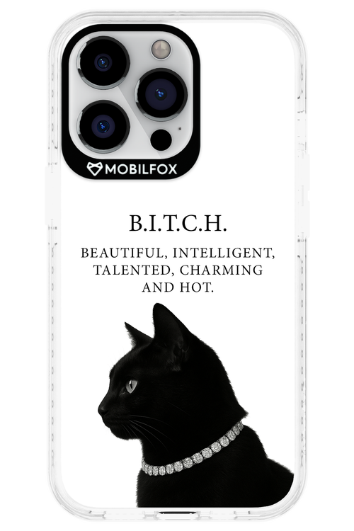 B. i. t. c. h. - Apple iPhone 13 Pro