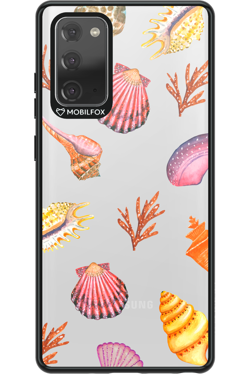 Sea Shells - Samsung Galaxy Note 20