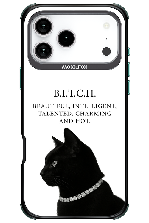 B. i. t. c. h. - Apple iPhone 17 Pro Max