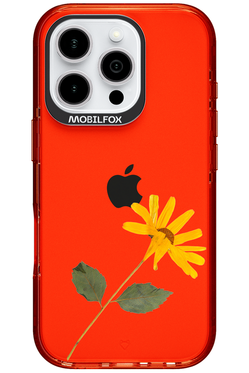 Pressed Flower - Apple iPhone 16 Pro