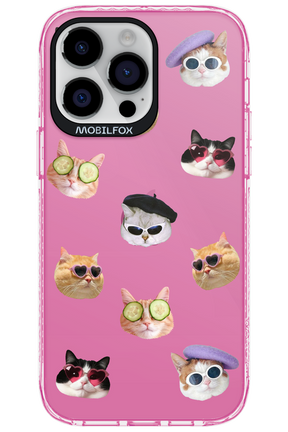 Cat Gang - Apple iPhone 14 Pro Max