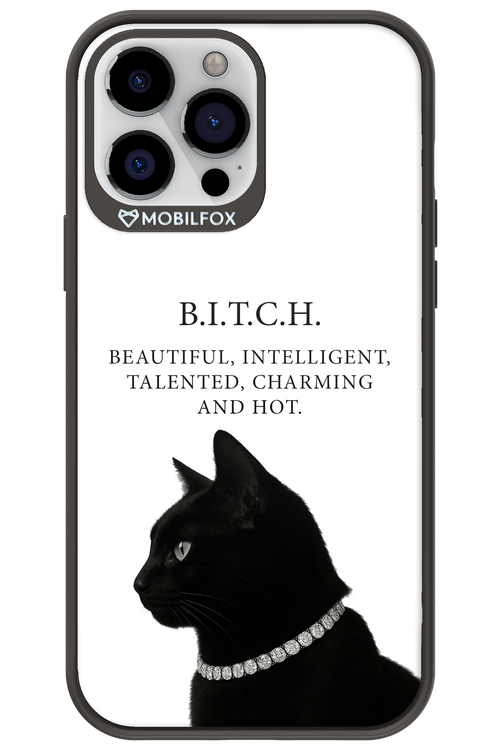 B. i. t. c. h. - Apple iPhone 13 Pro Max