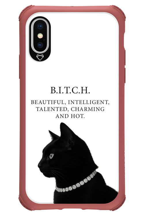 B. i. t. c. h. 2.0 - Apple iPhone X