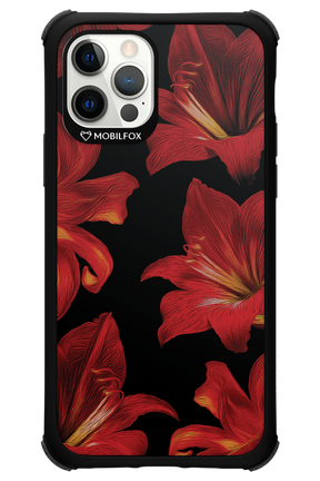 Amaryllis Noir - Apple iPhone 12 Pro