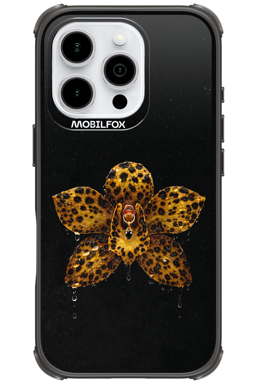 Wet & Wild - Apple iPhone 16 Pro