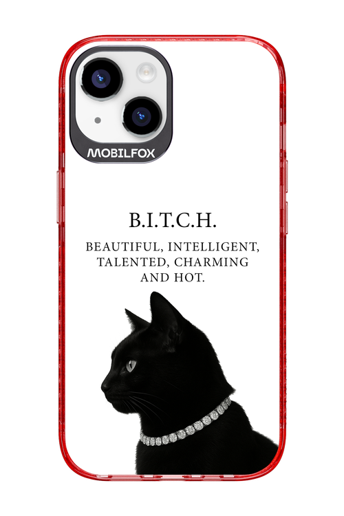 B. i. t. c. h. - Apple iPhone 14