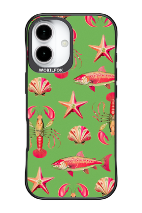 Sea Stars - Apple iPhone 17