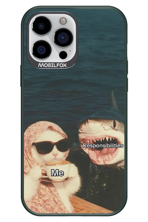 Responsibilities - Apple iPhone 13 Pro Max