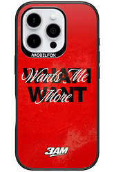 WHAT I WANT 2.0 - Apple iPhone 16 Pro