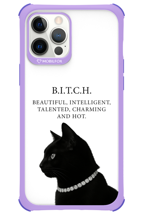 B. i. t. c. h. - Apple iPhone 12 Pro Max