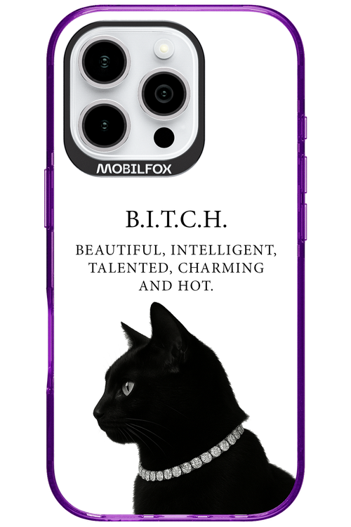 B. i. t. c. h. 2.0 - Apple iPhone 16 Pro