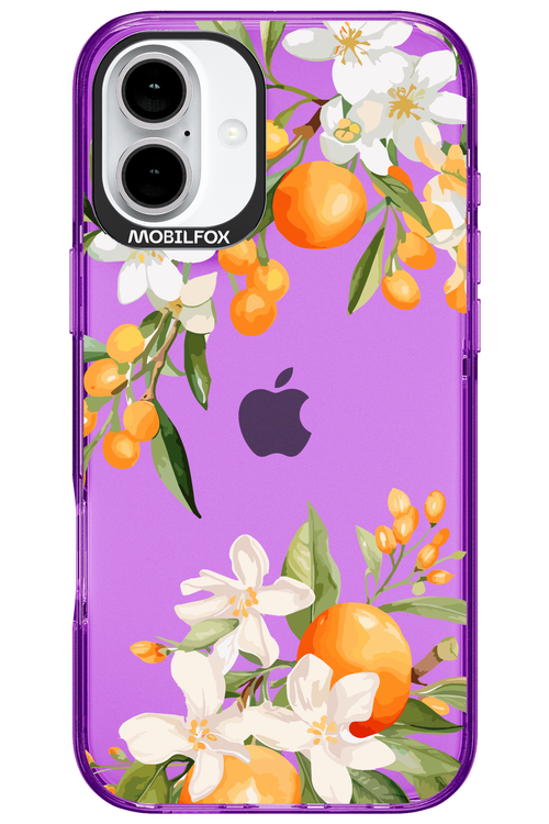 Amalfi Orange - Apple iPhone 16 Plus