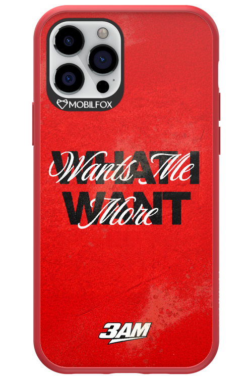 WHAT I WANT 2.0 - Apple iPhone 12 Pro