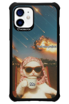 That one project - Apple iPhone 12