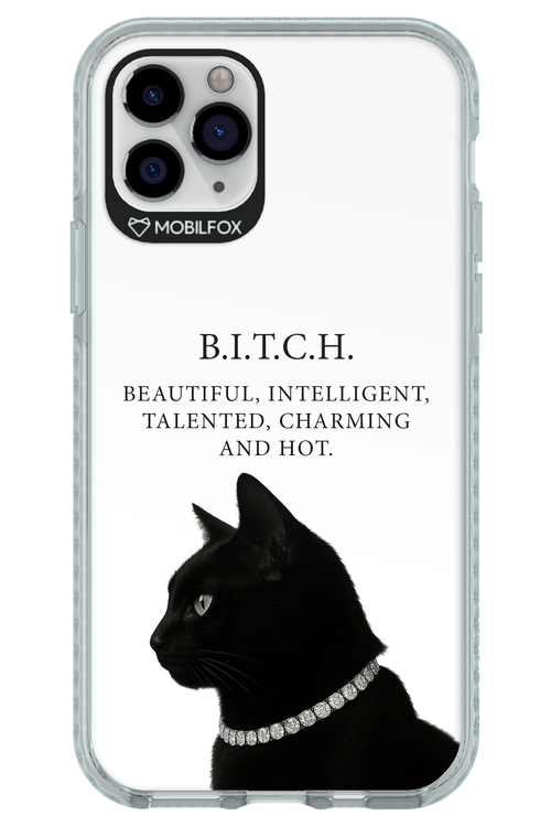 B. i. t. c. h. - Apple iPhone 11 Pro