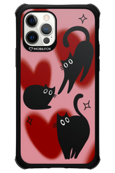 PAWHEARTS - Apple iPhone 12 Pro