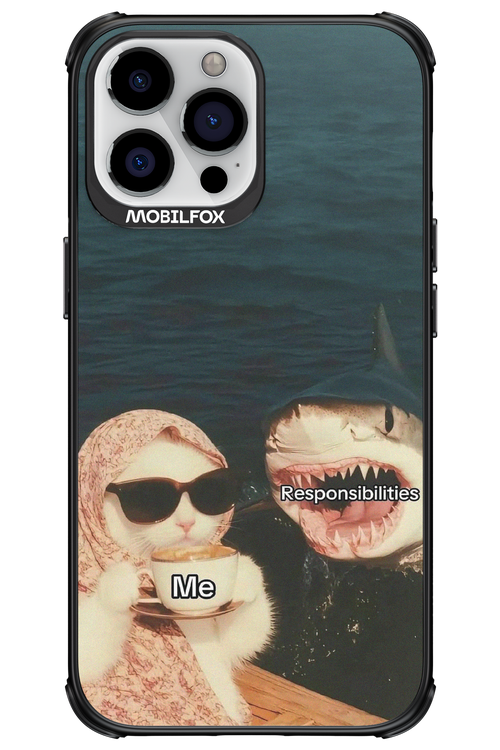 Responsibilities - Apple iPhone 13 Pro Max