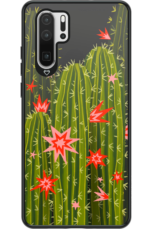 Cactus bloom 2.0 - Huawei P30 Pro