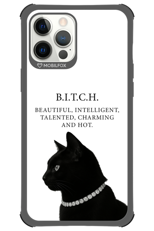 B. i. t. c. h. - Apple iPhone 12 Pro Max