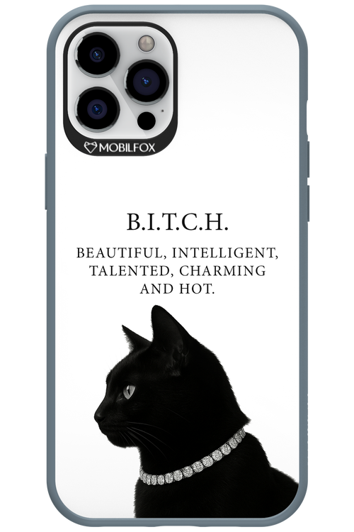 B. i. t. c. h. - Apple iPhone 12 Pro Max