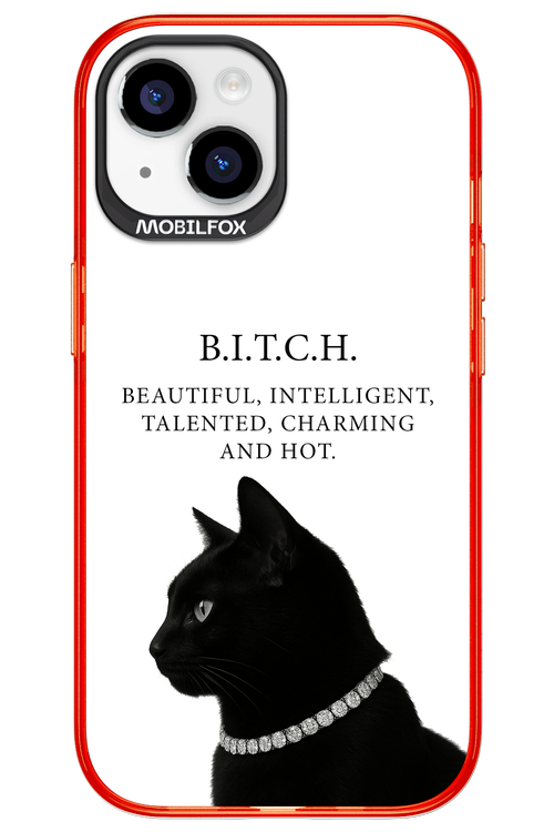 B. i. t. c. h. 2.0 - Apple iPhone 15