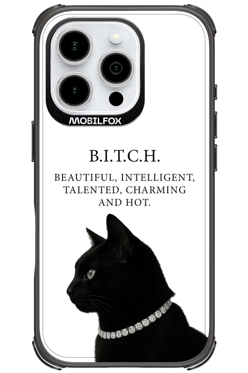 B. i. t. c. h. - Apple iPhone 16 Pro