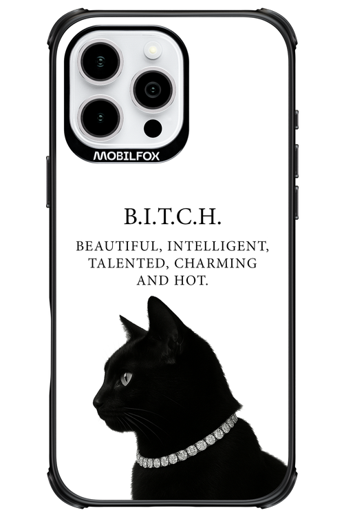 B. i. t. c. h. - Apple iPhone 16 Pro Max