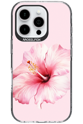 HibiPinky - Apple iPhone 16 Pro