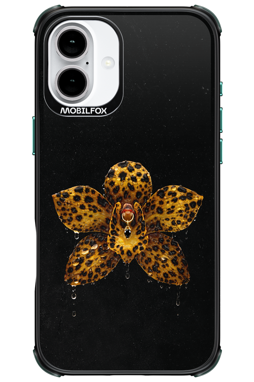 Wet & Wild 2.0 - Apple iPhone 16 Plus