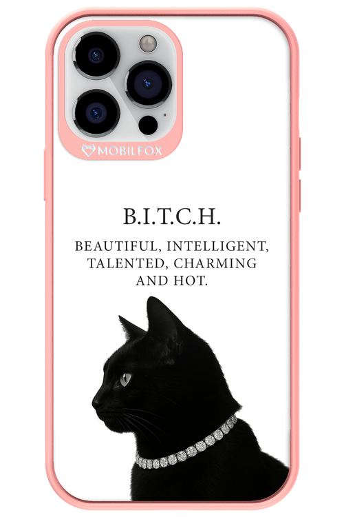 B. i. t. c. h. - Apple iPhone 13 Pro Max