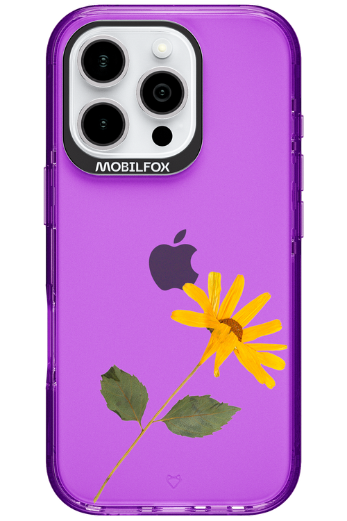 Pressed Flower - Apple iPhone 16 Pro