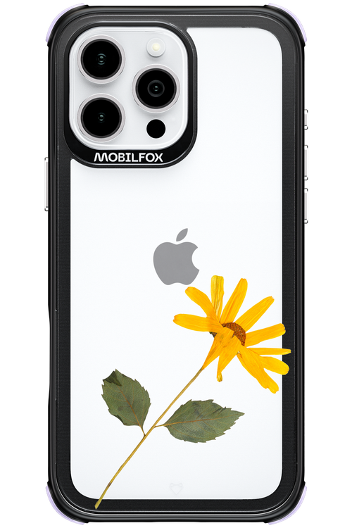 Pressed Flower - Apple iPhone 16 Pro Max