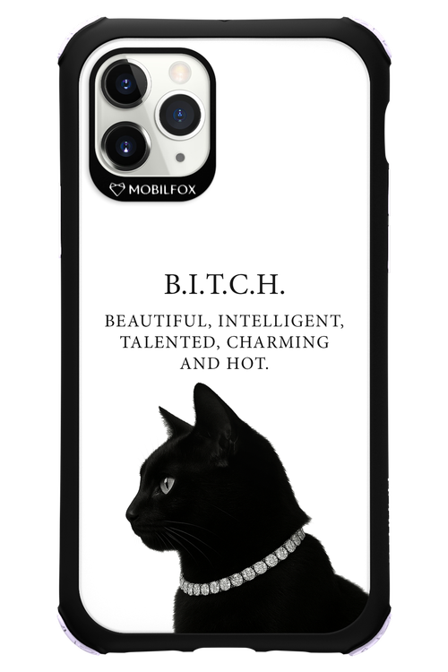 B. i. t. c. h. - Apple iPhone 11 Pro
