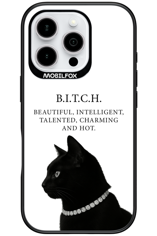 B. i. t. c. h. - Apple iPhone 16 Pro