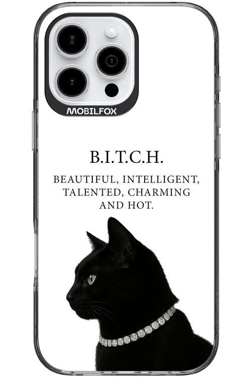 B. i. t. c. h. - Apple iPhone 16 Pro Max