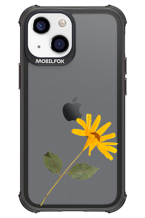 Pressed Flower - Apple iPhone 13 Mini