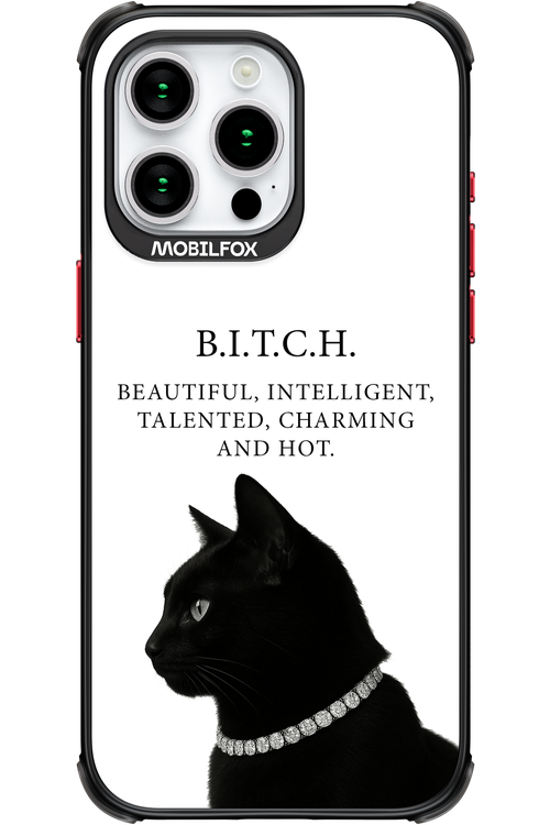 B. i. t. c. h. - Apple iPhone 15 Pro Max